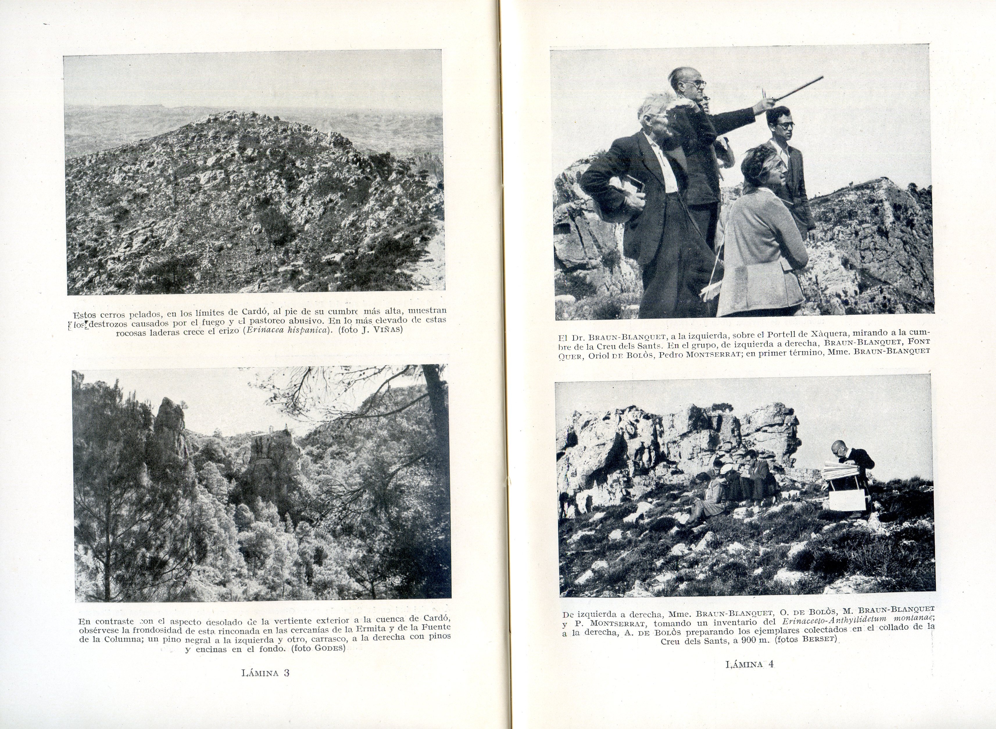 Flórula de Cardó : Consideraciones generales sobre las plantas que se crian en su valle en relación con la temperatura, sequedada y pobreza polínica del aire, seguidas del catálogo de dicha flórula - Miniatura 2